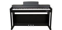 Echord DPX100 Satin Black