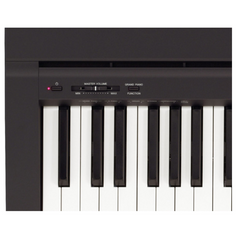 Yamaha P45