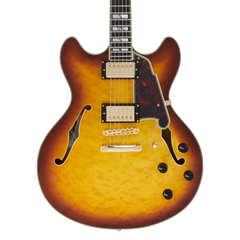D'Angelico Excel DC XT Iced Tea Burst