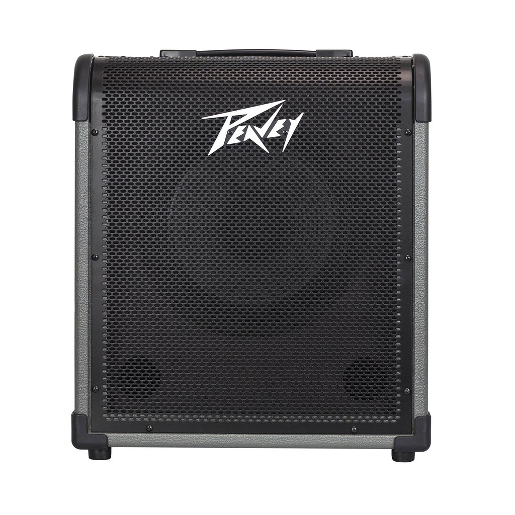 Peavey MAX 100