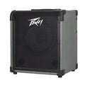 Peavey MAX 100