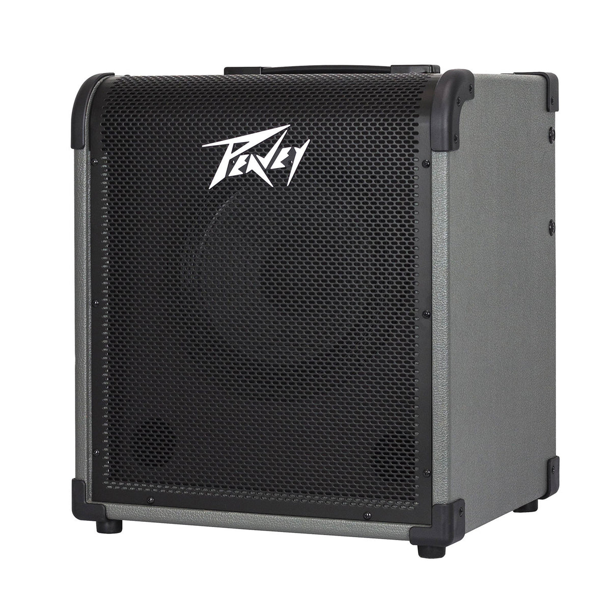 Peavey MAX 100